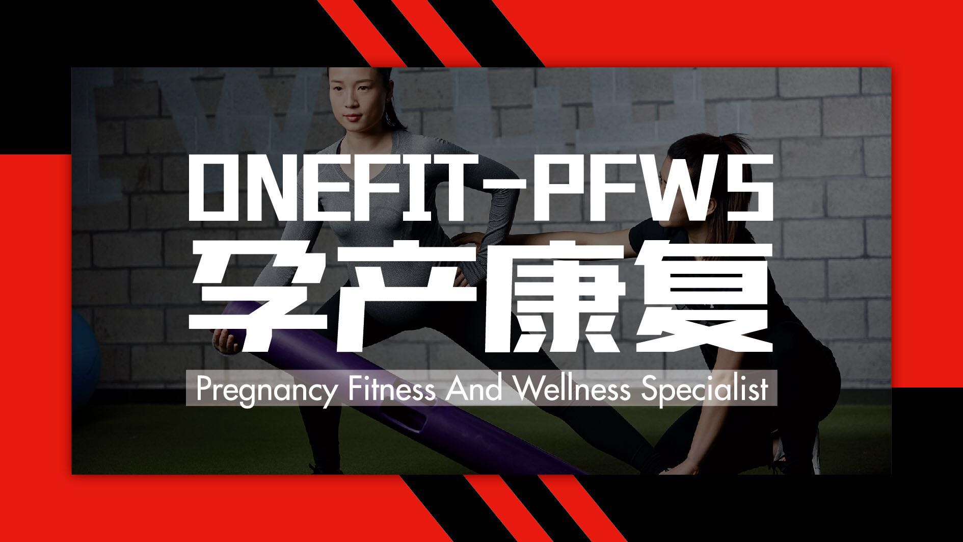 Onefit健身学院【官网】 零基础健身教练培训机构